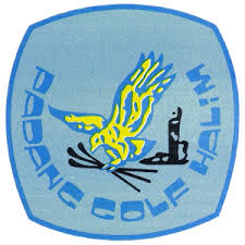 2a7d1377576daf50f7e999276000d3d9