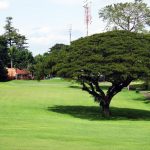 6 Ahmad Yani Golf Club1
