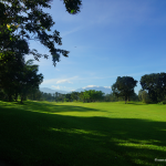 99cfe5415619002574d49049aa170e17